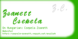 zsanett csepela business card